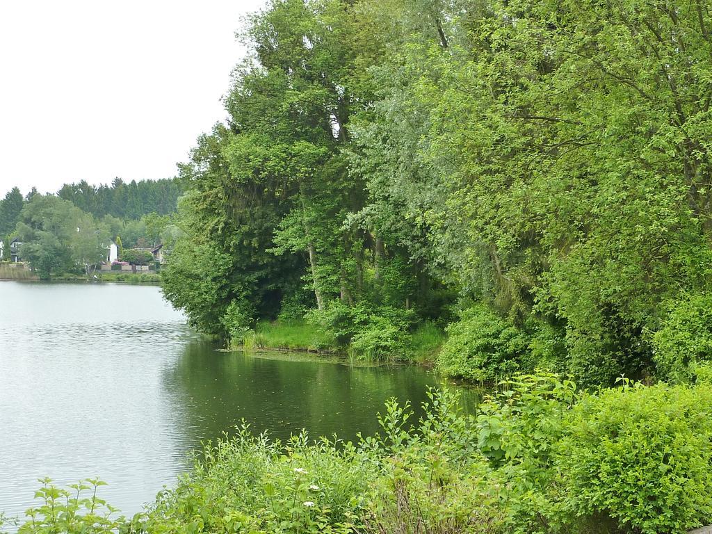 Business + Life Apartment Ferienwohnung Ransbach-Baumbach Eksteriør bilde